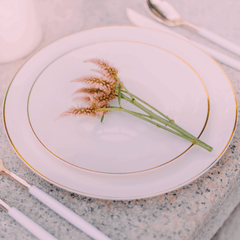 10 In. Classic Ivory Design Plastic Plates | 120 Count