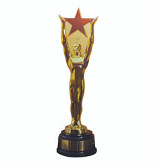 Star Award