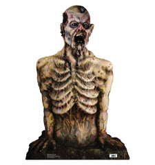 Breaking Ground Again - Zombie Torso