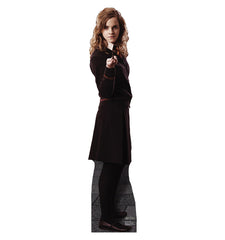 Hermione Granger (Harry Potter)