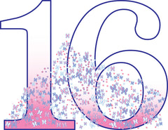 Number 16