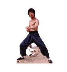 Bruce Lee - Fight Stance