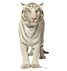 White Tiger