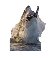 Great White Shark