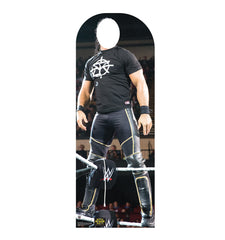 Seth Rollins Standin (WWE)