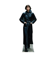 Porpentina Goldstein (Fantastic Beasts: The Crimes of Grindelwald)