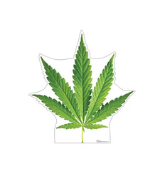 Cannabis