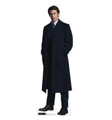 Theseus Scamander (Fantastic Beast 3)