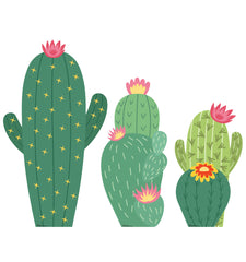 Cactus Grouping 56, 36, 24 inch Standees.