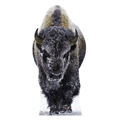 Yellowstone Bison