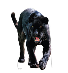 Black Jaguar