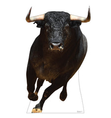 Bull