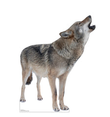 Howling Wolf