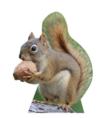 Squirrel