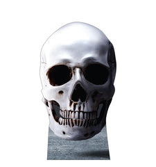 Skull Standee