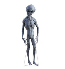 Black Eyed Alien