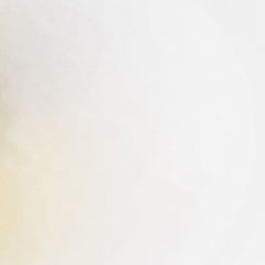 Clear/Gold Petal Plates - Combo Pack 20/20