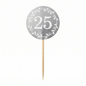 25th Anniversary Silver Party Picks - 3.5-Inch, 24 Pack