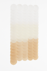 Ginger Ray Tissue Disc Party Backdrop Kit
