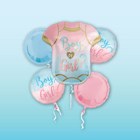 Gender Reveal / Baby Shower