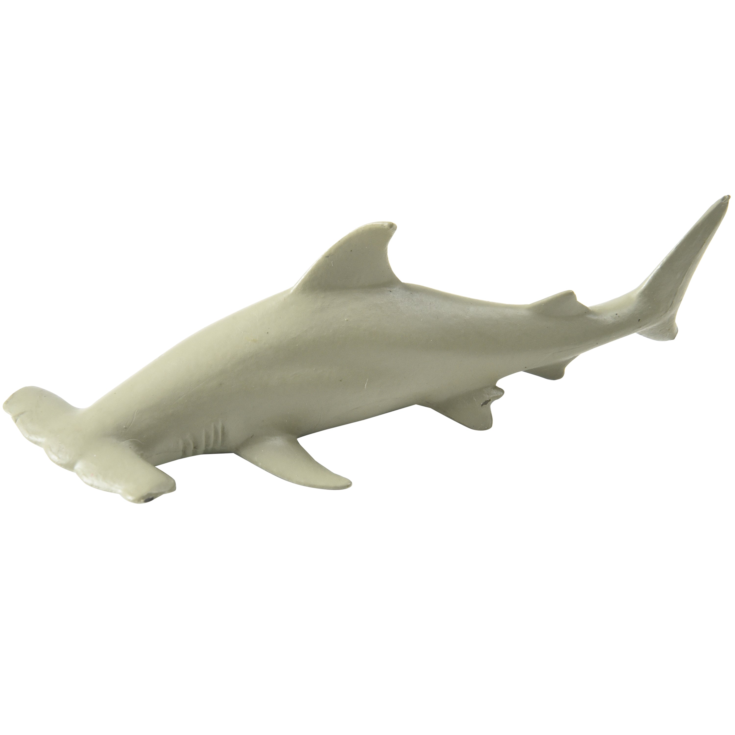 Sharks - 12 Count