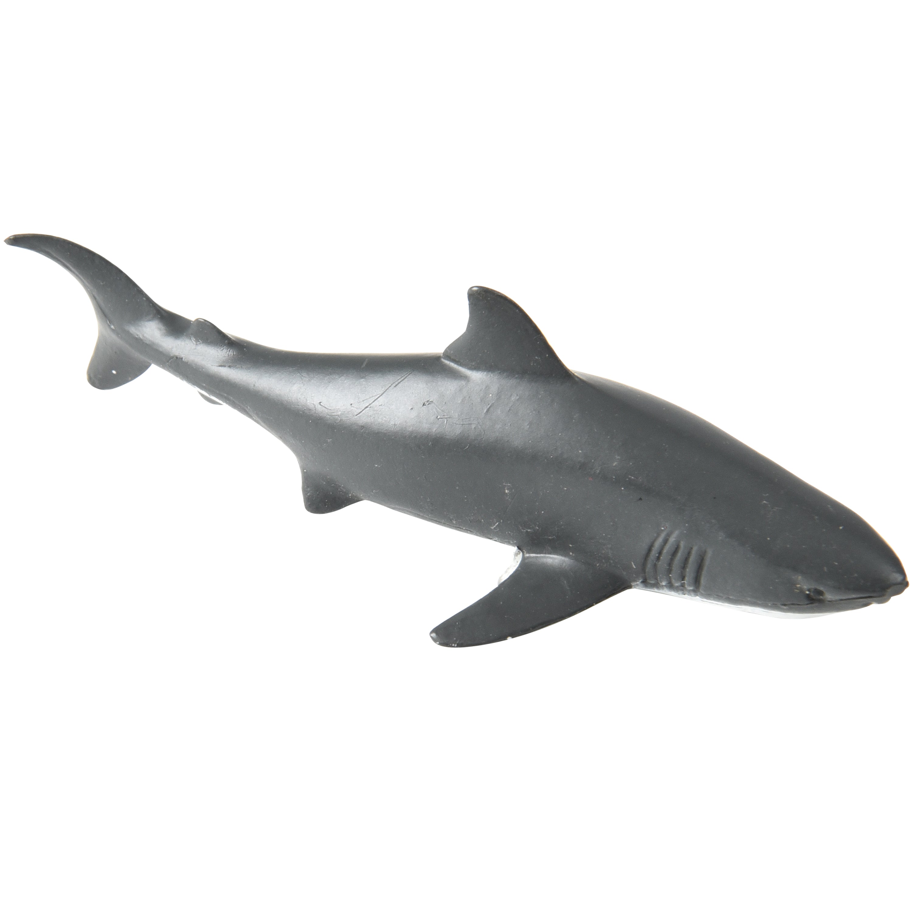 Sharks - 12 Count