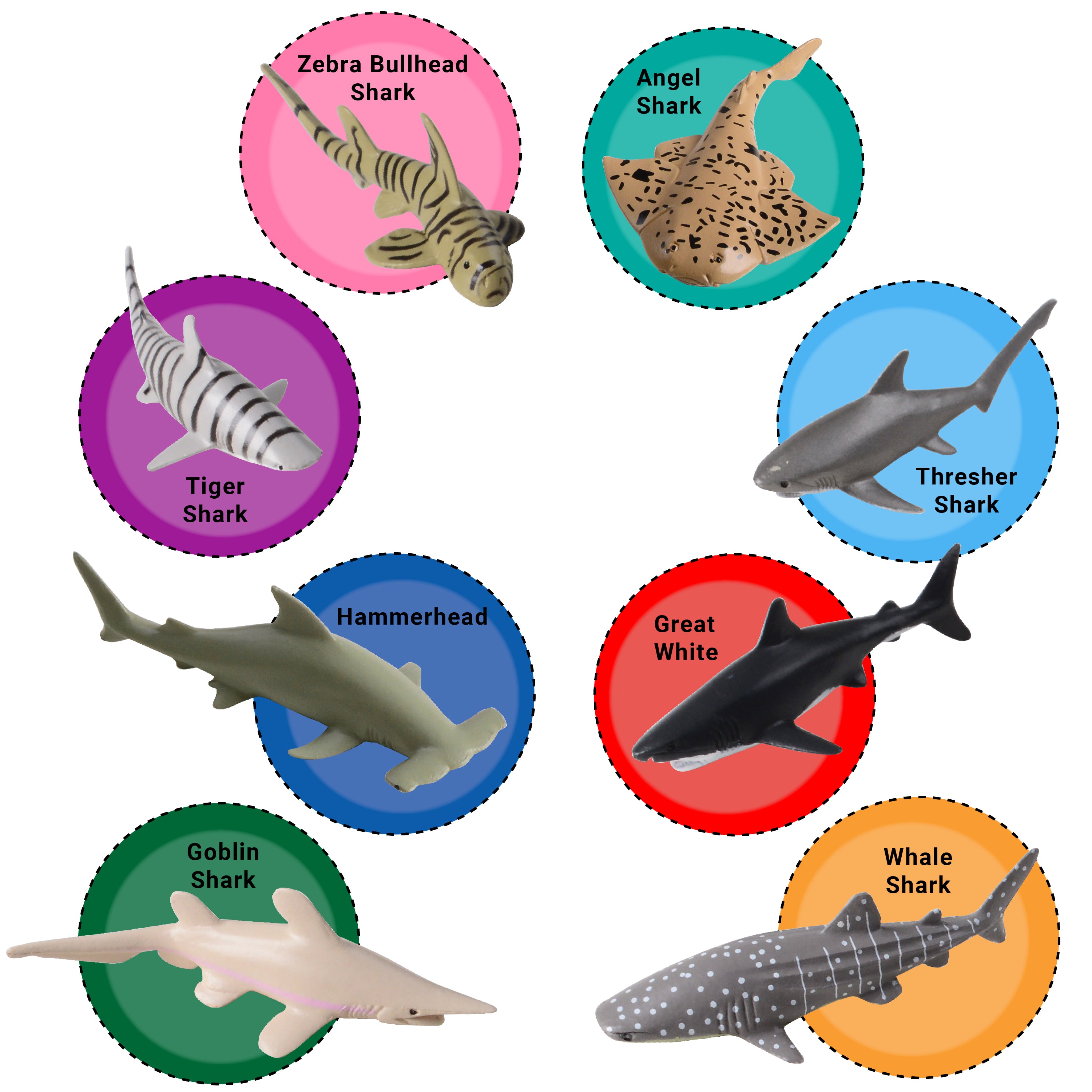 Sharks - 12 Count