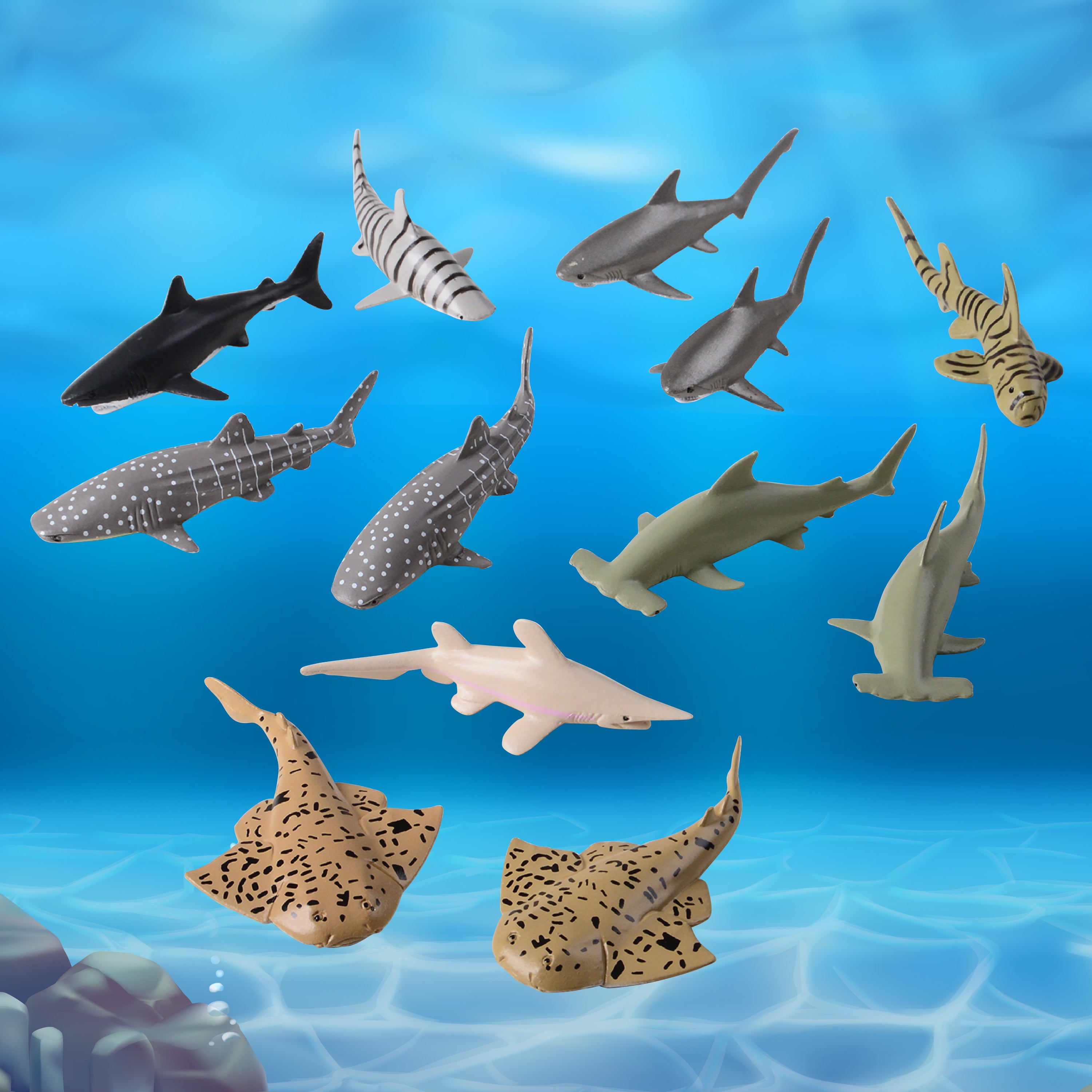 Sharks - 12 Count