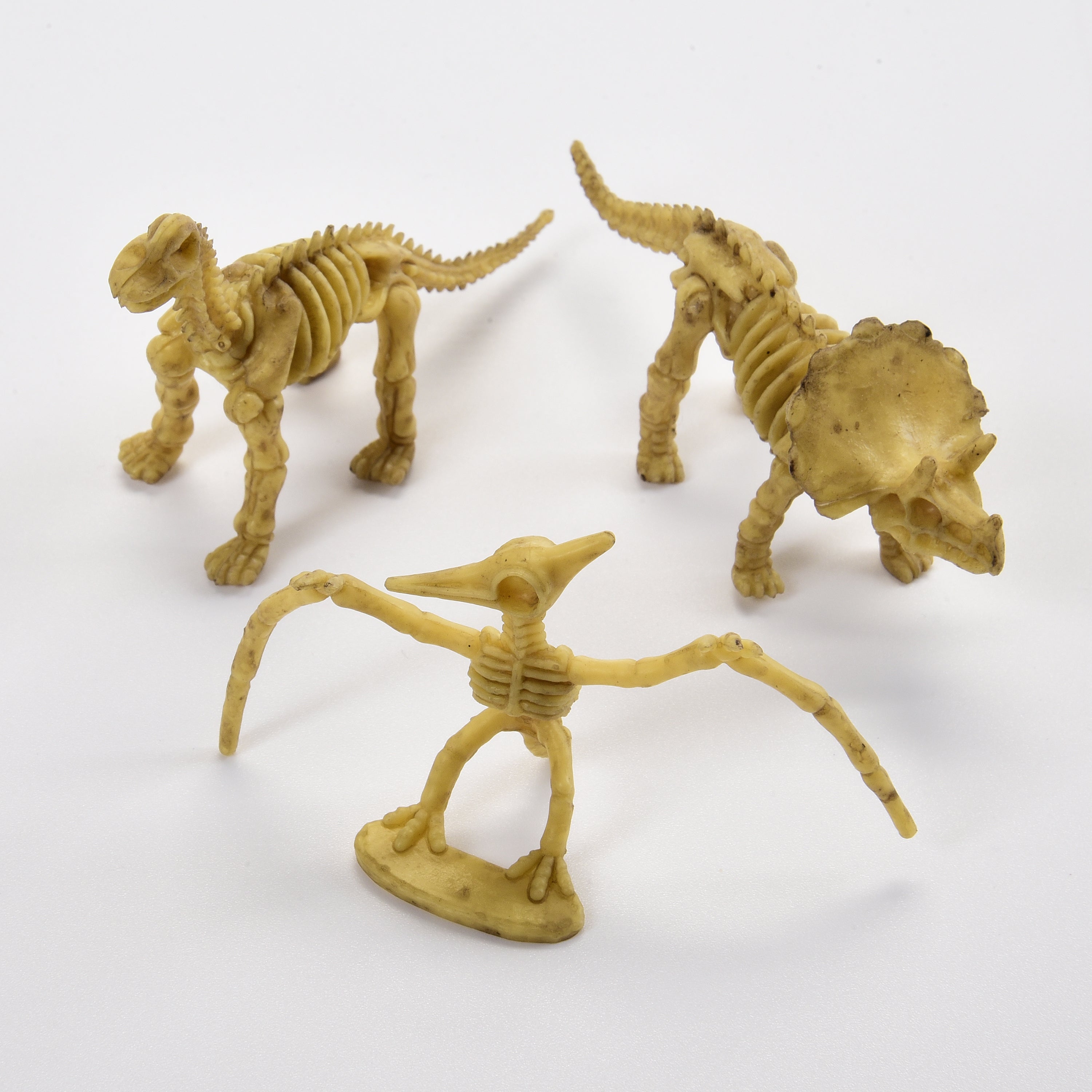 Skeleton Dinos - 12 Count