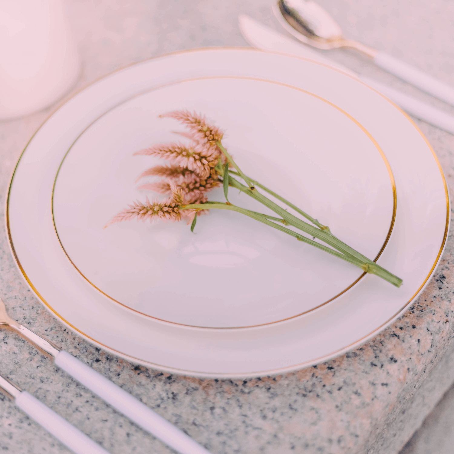 8 In. Ivory Classic Design Plates | 10 Count