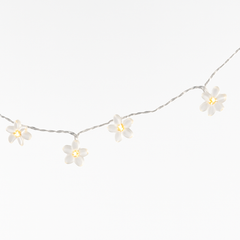 Flower Fairy LED String Lights, 5.5-ft, Soft White Floral Glow