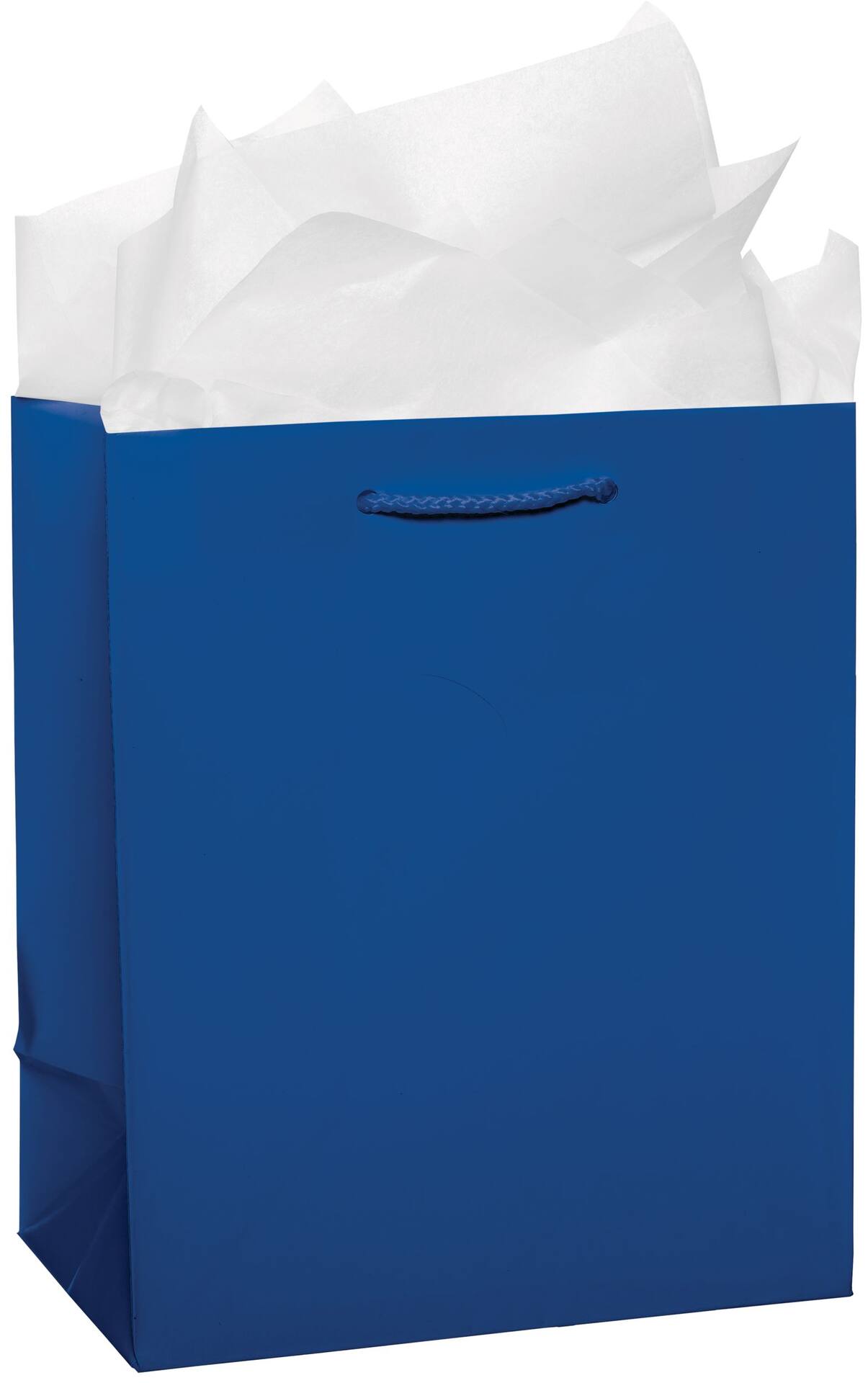 PMA - Paper Gift Bag, Assorted Colours, 9.5-in, for Birthday/Valentine's Day/Easter/Baby Shower