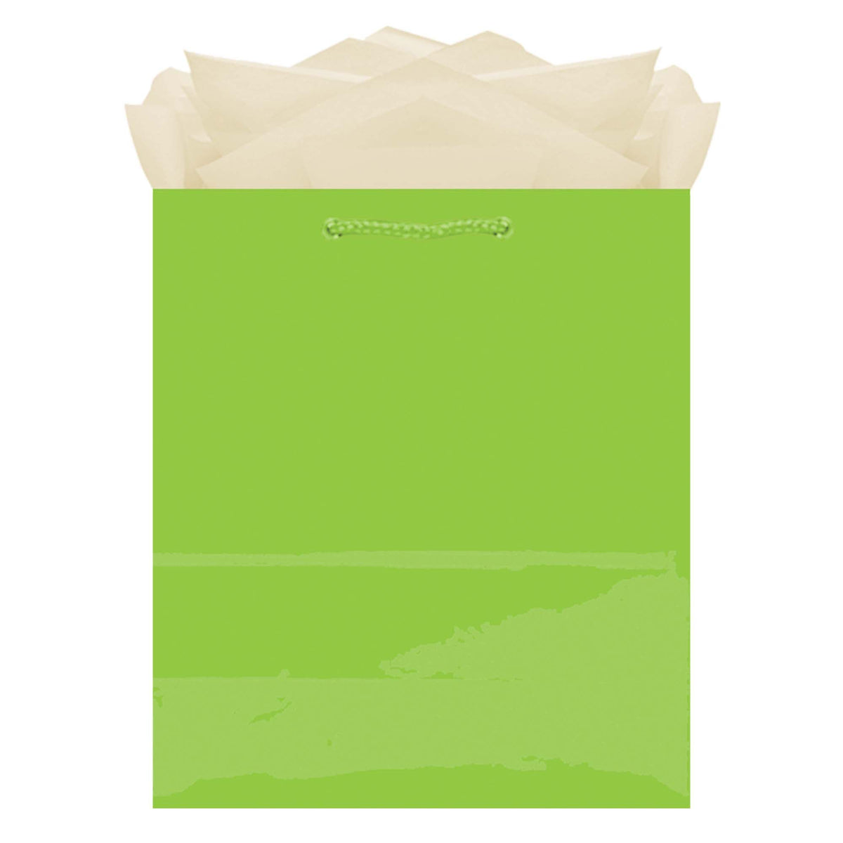 PMA - Paper Gift Bag, Assorted Colours, 9.5-in, for Birthday/Valentine's Day/Easter/Baby Shower