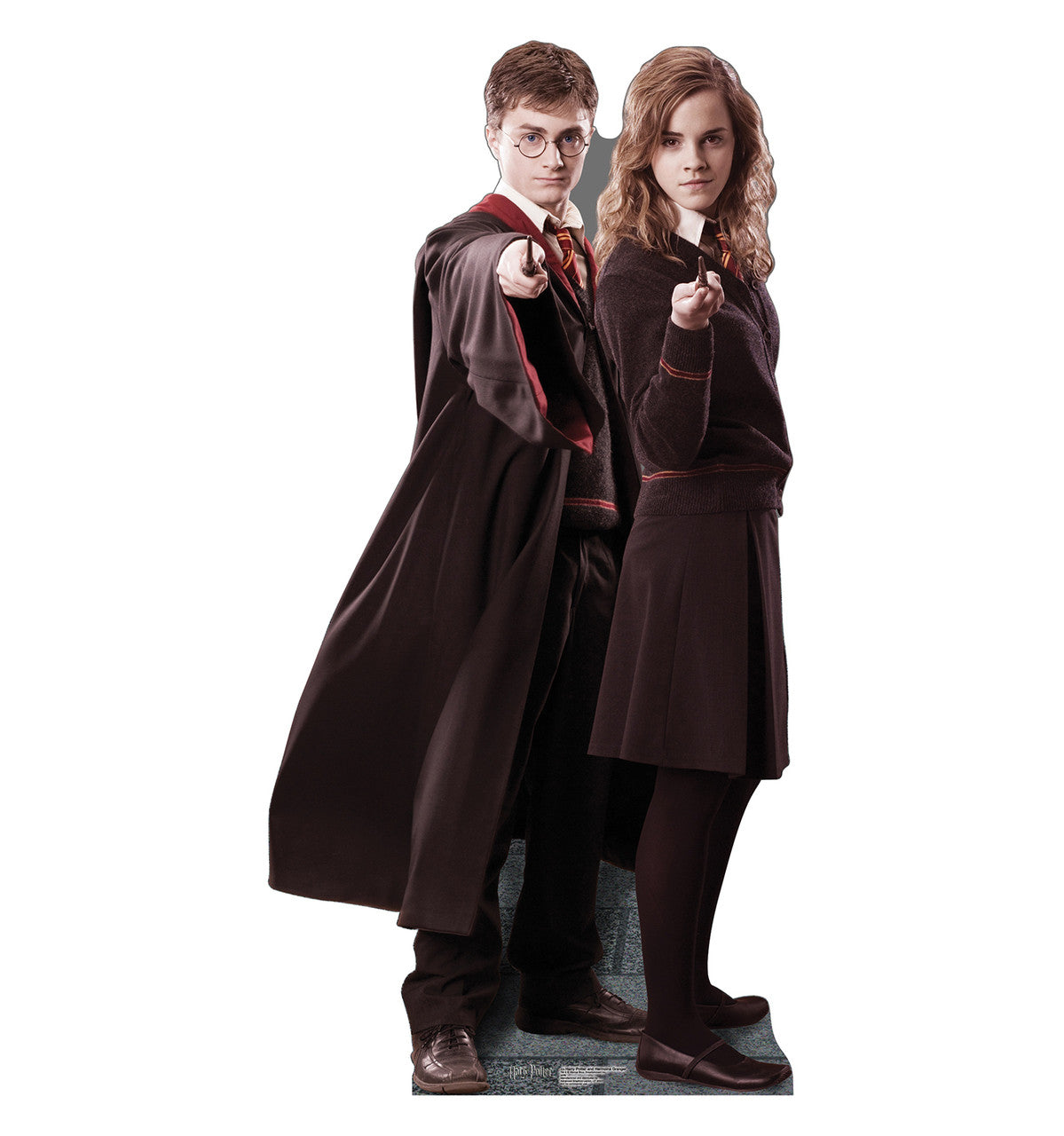 Harry & Hermione (Harry Potter)