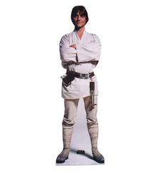 Luke Skywalker (Star Wars)