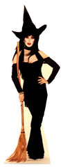 Elvira Broom