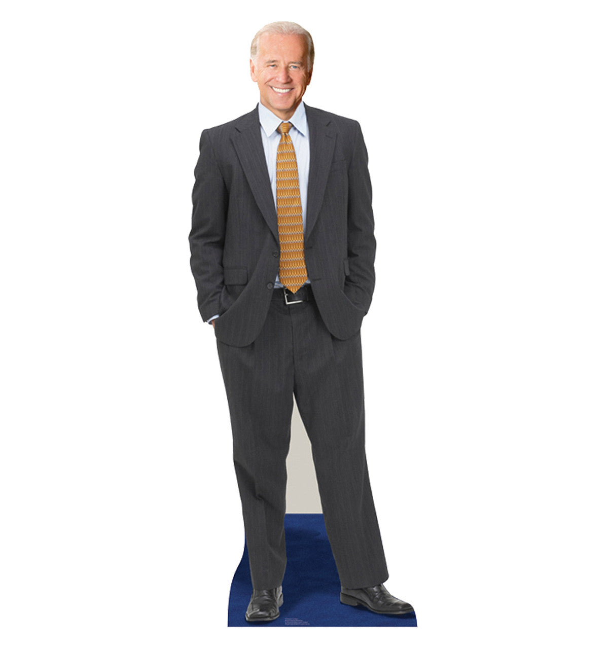 US Senator Joe Biden