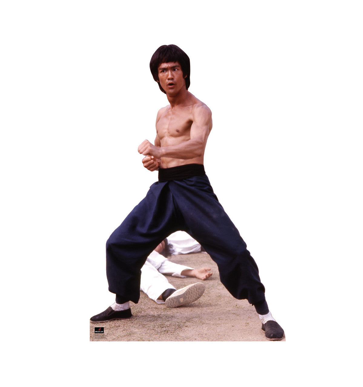 Bruce Lee - Fight Stance