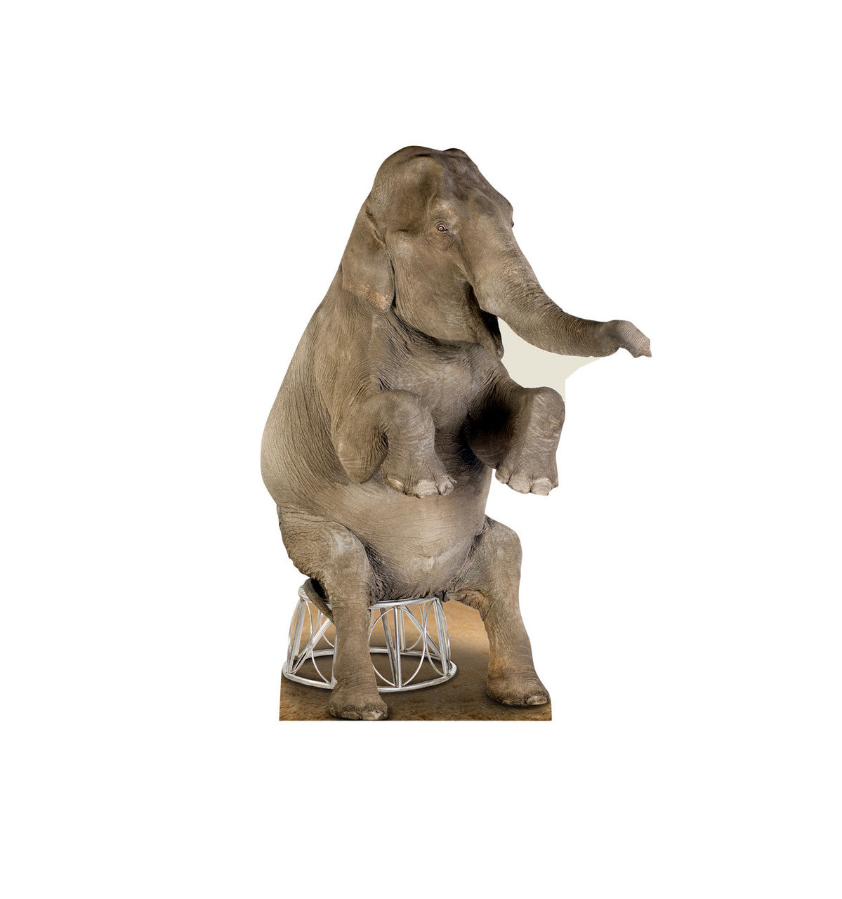 Asian Elephant