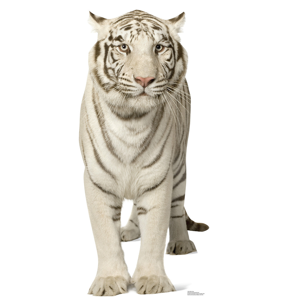 White Tiger