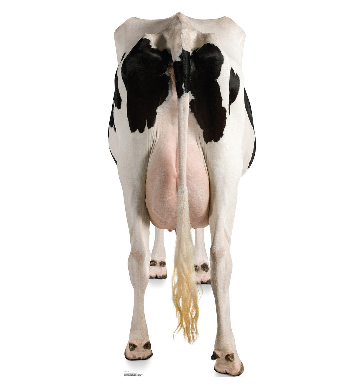 Cow's Rear