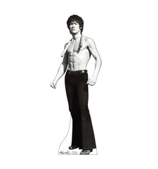 Bruce Lee - Game