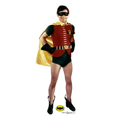 Robin (1969 TV Series - Batman and Robin)