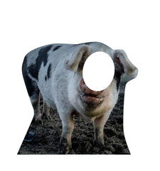 Pig Standin