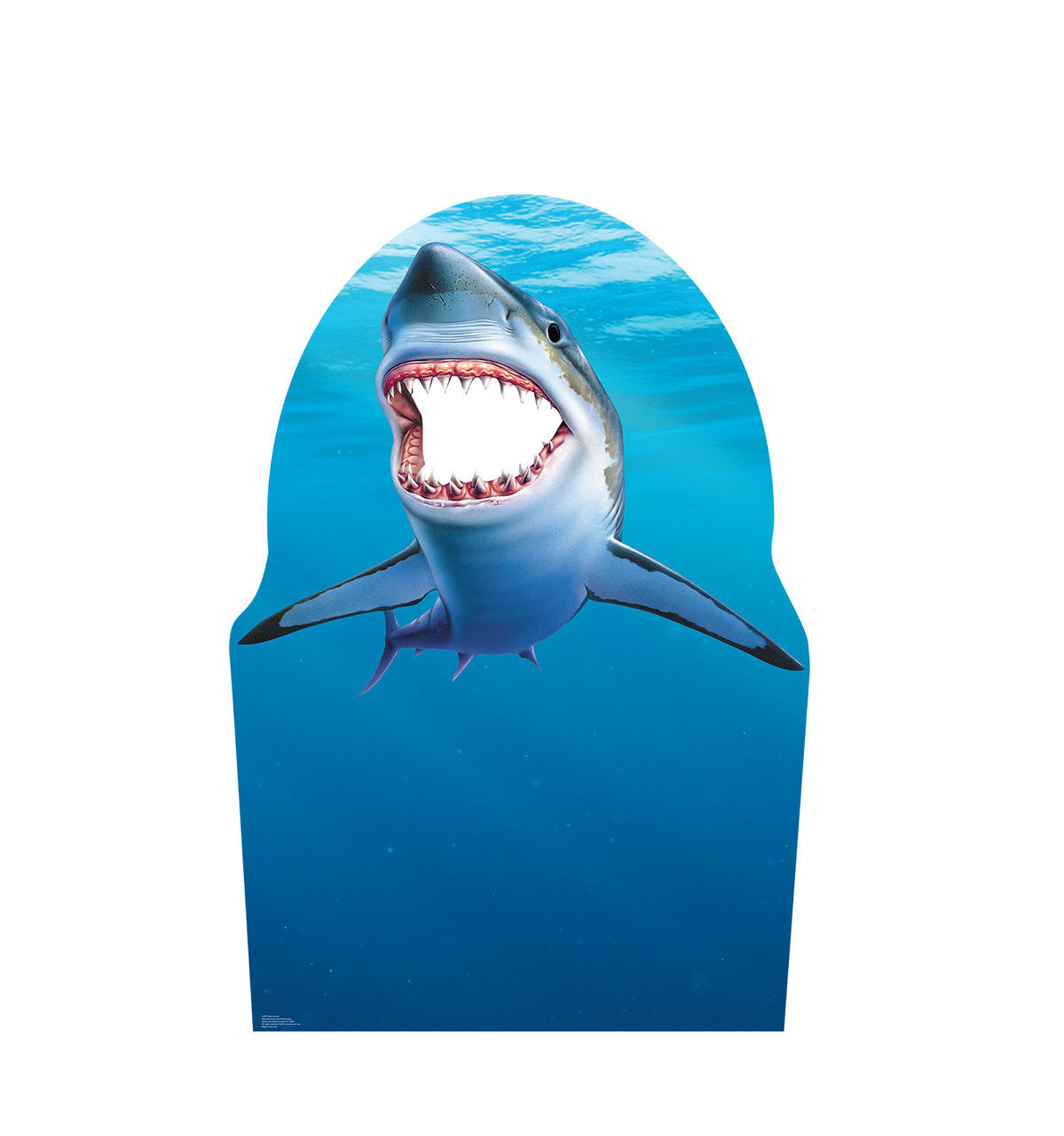 Shark Standin