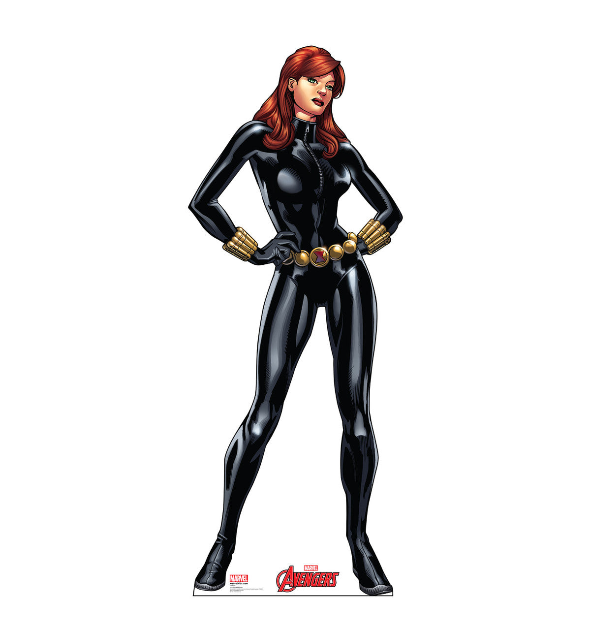 Black Widow (Avengers Animated)