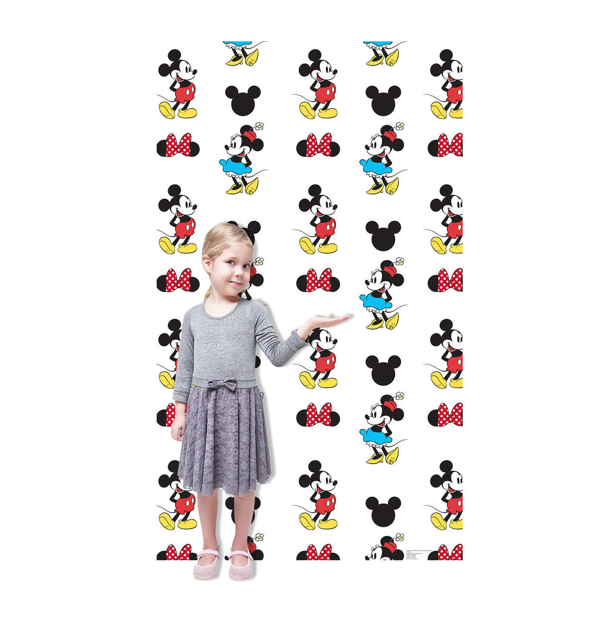 Mickey and Minnie Step and Repeat Standup