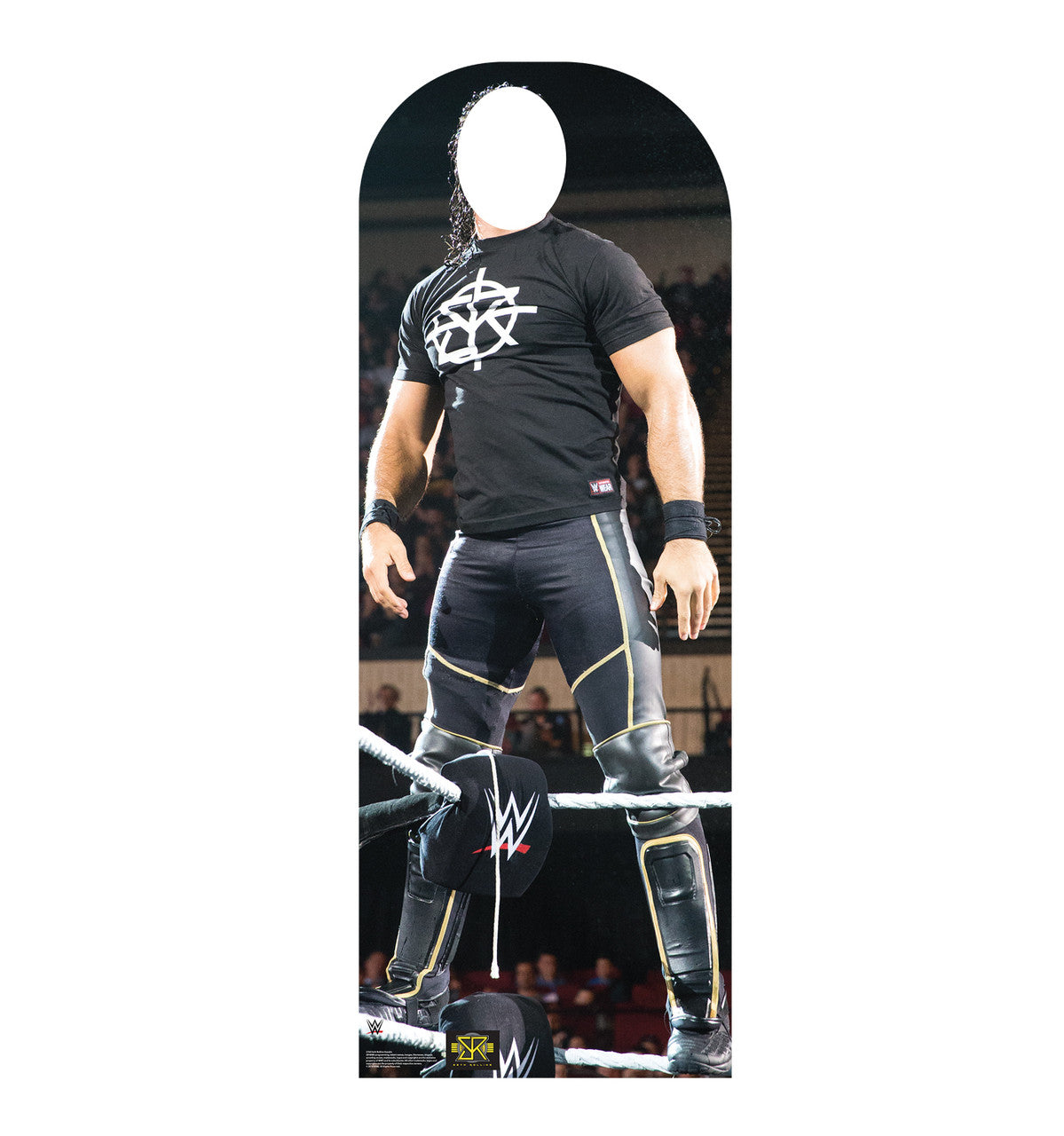 Seth Rollins Standin (WWE)