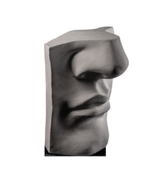 Plaster Face