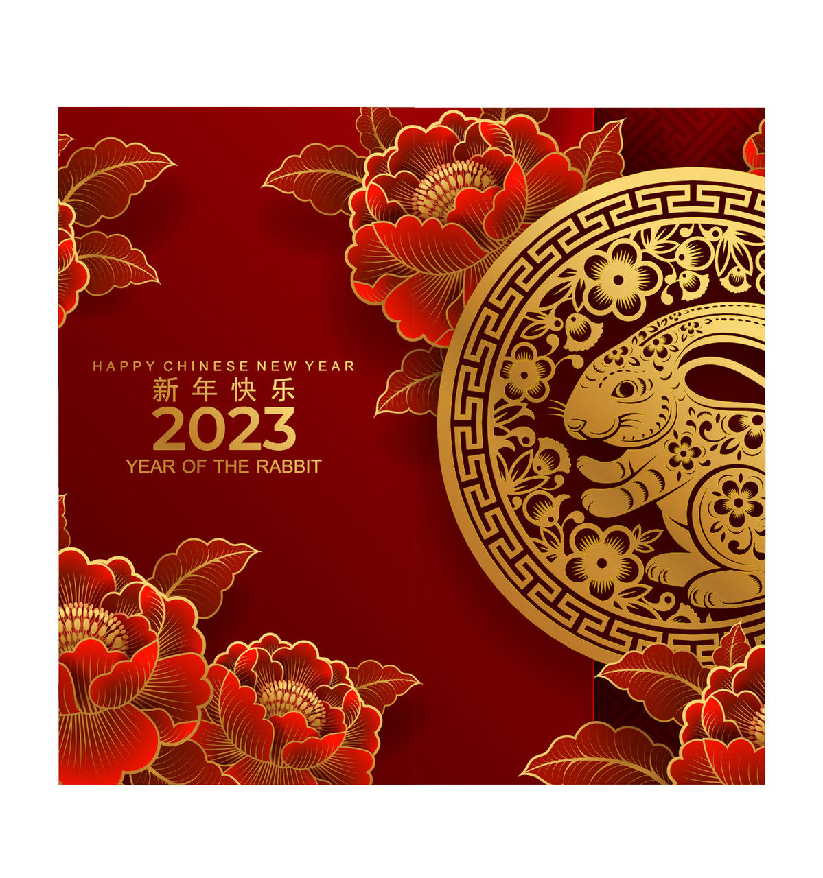 Chinese New Year - Year of the TIGER Backdrop Double Wide